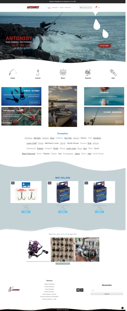 screenshot a mockup full page project