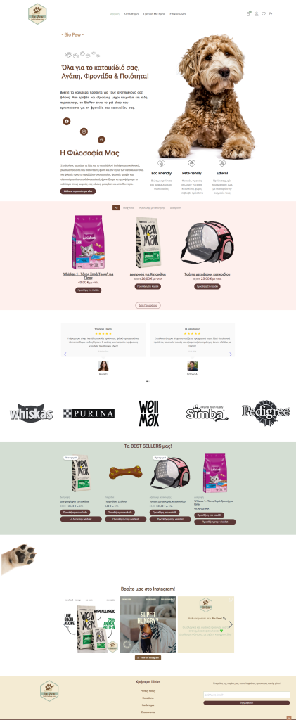 screenshot a mockup full page project
